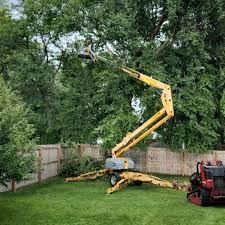 Best Utility Line Clearance  in Pittsburg, TX
