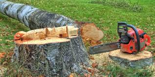 Best Commercial Tree Services  in Pittsburg, TX